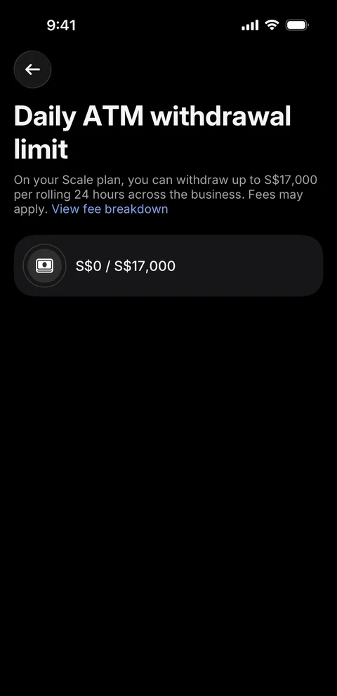 Revolut Бизнес 162