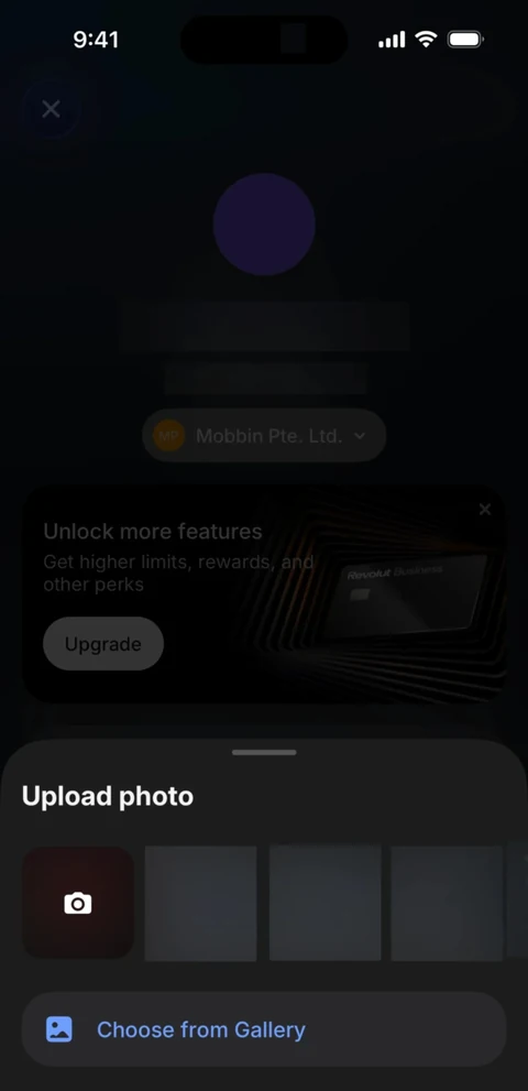 Revolut Бизнес 449