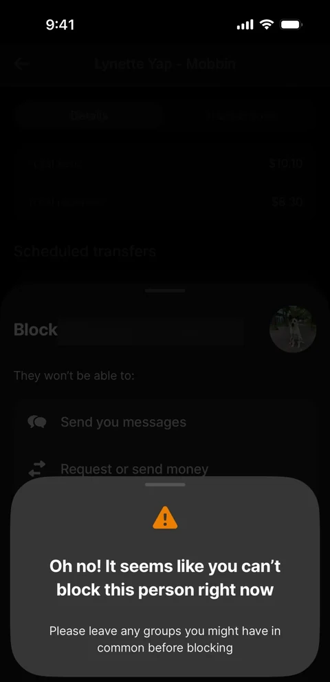 Revolut 480