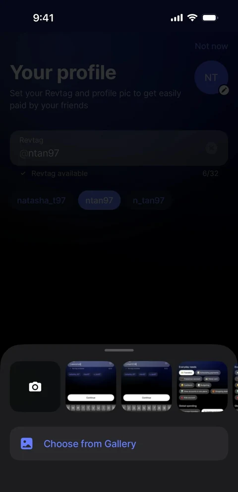 Revolut 46