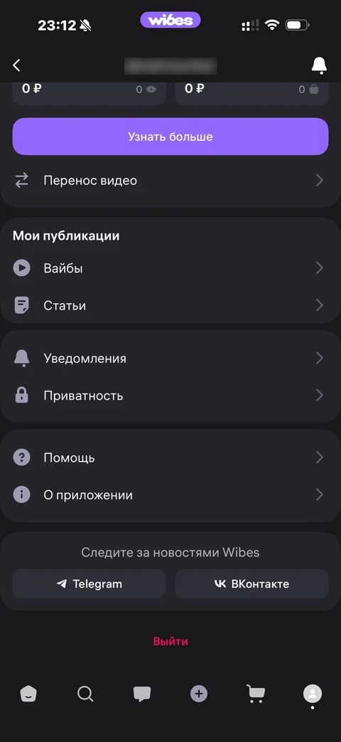 Wibes · Галерея · 20