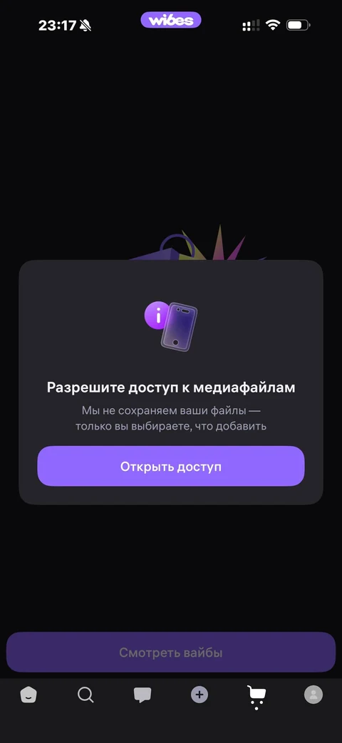 Wibes · Галерея · 56