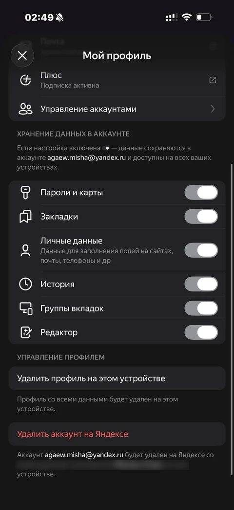 Яндекс Браузер · Галерея · 25